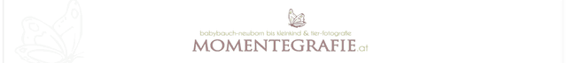 Momentegrafie
